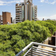 goyena_03 goyena_03